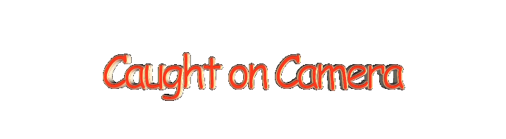 Caught on Camera section